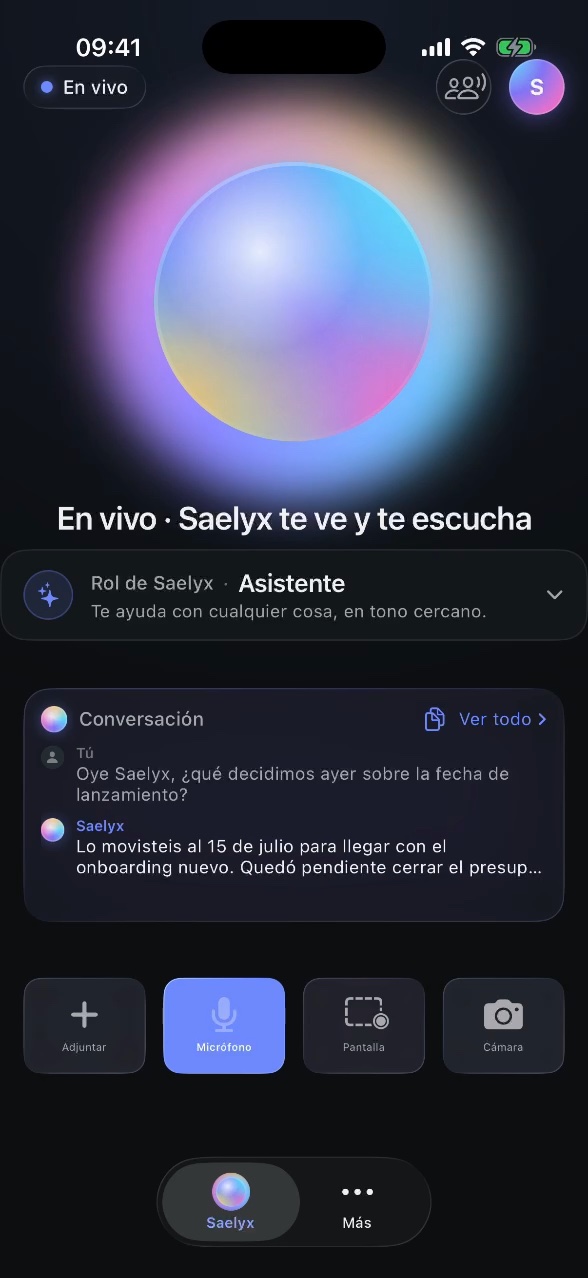 Saelyx awake, in the middle of a conversation